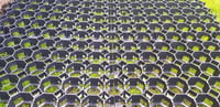 EKOGRID Zatravňovací dlaždice 50x50x4 cm Rojaplast (foto 11)
