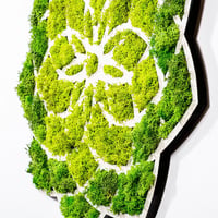 Dekorace DAISY ASIRGROUP (foto 10)