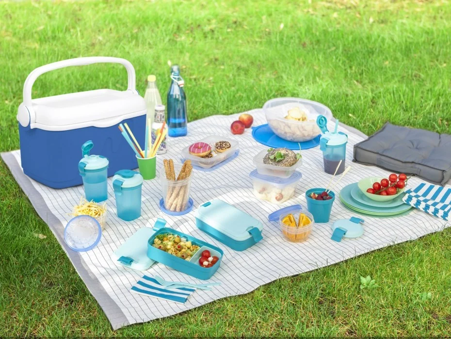 Úložný box LUNCH GO & Rojaplast