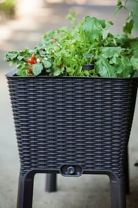 EASY GROW květináč Rojaplast (foto 6)