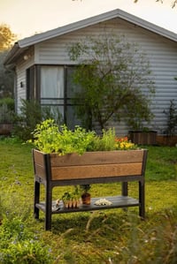 DECO ELEVATED GARDEN BED květináč Walnut Rojaplast (foto 8)