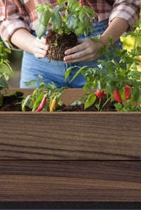 DECO ELEVATED GARDEN BED květináč Walnut Rojaplast (foto 5)