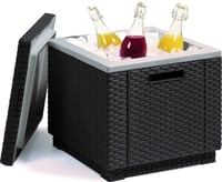 ICE CUBE Rojaplast (foto 2)