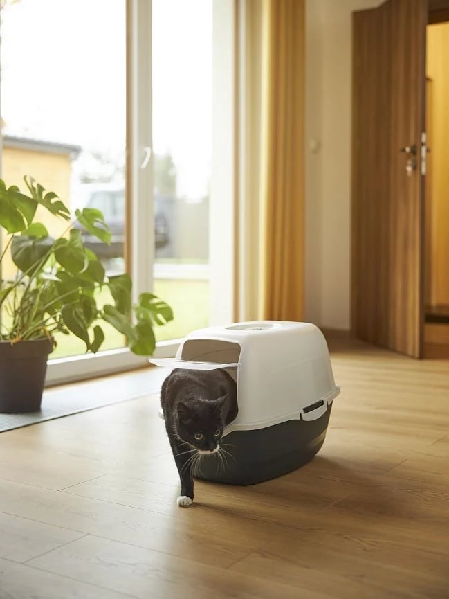 ROTHO ECO BAILEY toaleta pro kočky – cappuccino Rojaplast