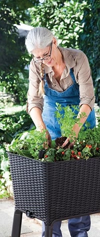 EASY GROW květináč Rojaplast (foto 3)