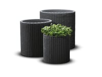 S+M+L CYLINDER květináč Rojaplast (foto 2)