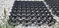 EKOGRID Zatravňovací dlaždice 50x50x4 cm Rojaplast (foto 22)