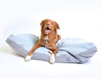 DONY Polštář 135 cm Rojaplast