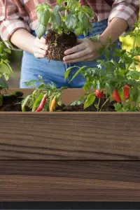 DECO ELEVATED GARDEN BED květináč Walnut Rojaplast (foto 17)