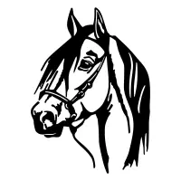 Dekorace HORSE ASIRGROUP (foto 175)