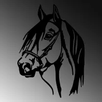 Dekorace HORSE ASIRGROUP (foto 416)