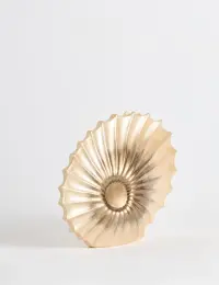 Dekorace SEASHELL ASIRGROUP (foto 3)