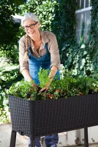 EASY GROW květináč Rojaplast (foto 11)