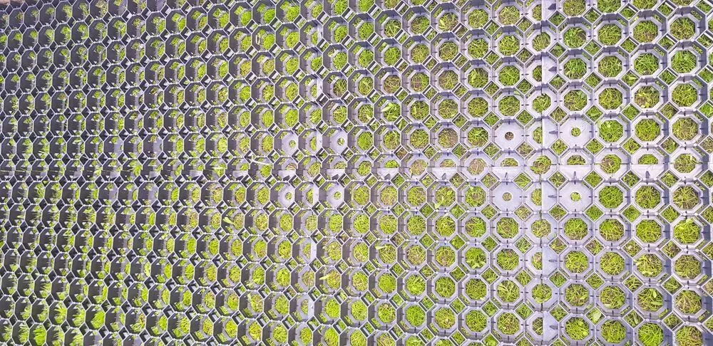 EKOGRID Zatravňovací dlaždice 50x50x4 cm Rojaplast (foto 38)