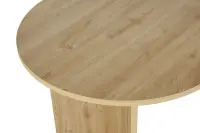 Jídelní stůl SABLIN ASIRGROUP (foto 289)