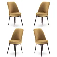 Jídelní židle DEXA ASIRGROUP (foto 582)