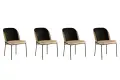 Jídelní židle DR NEPTUN – Set 4 ks / Béžová / Černá ASIRGROUP