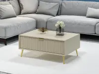 Konferenční stolek LUXE ASIRGROUP (foto 815)