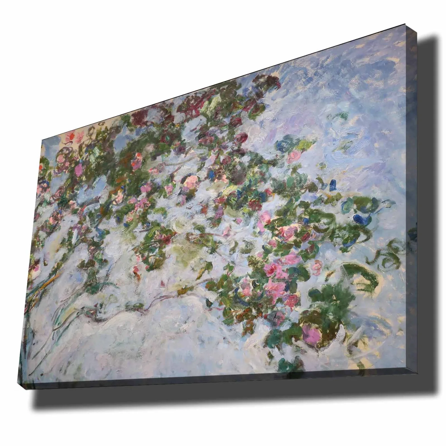 Obraz na plátně 70100MONET003 ASIRGROUP