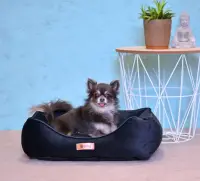 Pelíšek ROYAL 55 cm / Rojaplast (foto 21)