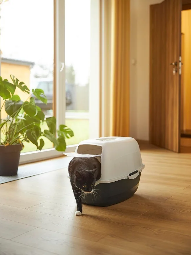 ROTHO ECO BAILEY toaleta pro kočky Rojaplast (foto 35)