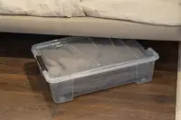 Úložný box DEA HOME POD POSTEL JOLLY Rojaplast (foto 14)