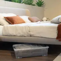 Úložný box DEA HOME POD POSTEL JOLLY Rojaplast (foto 16)