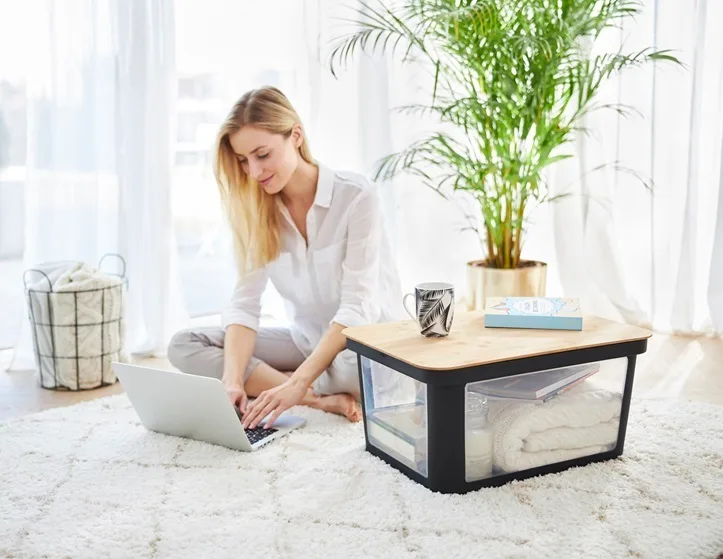 Úložný box ROTHO ALBRIS 45 L Rojaplast
