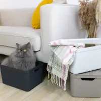 Úložný box ROTHO JIVE DECO Rojaplast (foto 88)