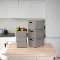 Úložný box ROTHO JIVE DECO 5L Rojaplast (foto 24)