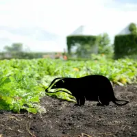 Zahradní dekorace BADGER ASIRGROUP (foto 2)