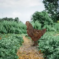 Zahradní dekorace CHICKEN ASIRGROUP (foto 121)