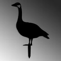 Zahradní dekorace GOOSE ASIRGROUP (foto 899)