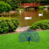 Zahradní dekorace PEACOCK ASIRGROUP (foto 19)
